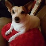 Profile Picture of Neil McConnell (@neil.mcconnell.792) on Instagram