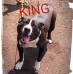 Profile Picture of Curtis Nevils (@curtis.nevils.9) on Facebook