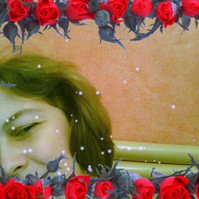 Profile Picture of Vera Rocha (@verarocha03) on Twitter