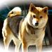Profile Picture of Edward Hubbell (@edward.hubbell.3) on Facebook