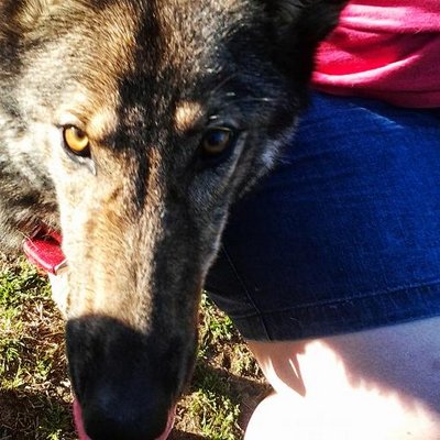 Profile Picture of Jessica Burnell (@LoriLu0524) on Twitter