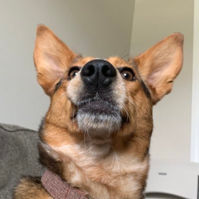 Travis Merrill - Twitter Profile Picture of Travis Merrill (@TravisMerrill17) on Twitter