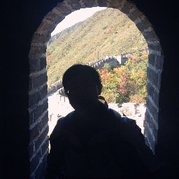 Profile Picture of Lihan (@zhang9875) on Twitter