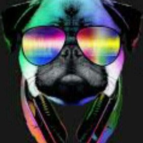 Profile Picture of DANIEL VERAS (@DANIELV52932696) on Twitter