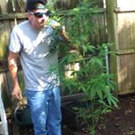 Profile Picture of robert hannaford (@bobbyhann) on Instagram