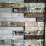 Profile Picture of David Chavez Miyamoto (@davidchavezmiyamoto) on Instagram