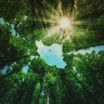 Hooman Takav - Instagram Profile Picture of Hooman Takav (@kebria_gholami) on Instagram