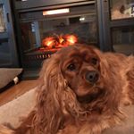 Profile Picture of Hayden Swenson (@hayden_swenson10) on Instagram