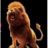 Profile Picture of Alfredo Davila Grija (@@SR_AL) on Twitter