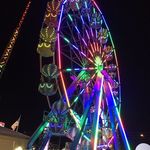 Profile Picture of Williamina McIvor (@williaminamcivor) on Instagram