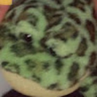 Profile Picture of Erick Posada (@erick-posada-3) on Quora