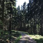 Profile Picture of Andrea Wolfrum (@andrea.wolfrum.5055) on Instagram