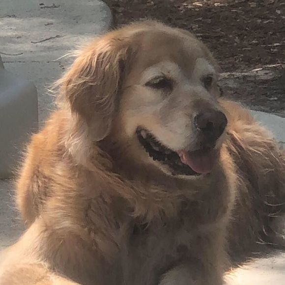 Profile Picture of Emily Sudermann (@eesuder) on Poshmark