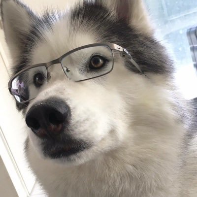 Profile Picture of Eric Ivan (@ericivan89) on Twitter