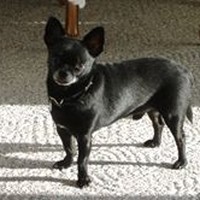 Profile Picture of Shirley Fischer (@shirley-fischer-1) on Quora