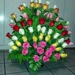 Profile Picture of Timothy Maciejewski (@timothy.maciejewski.58) on Facebook