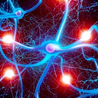 Profile Picture of LL A (@JoseYee) on Twitter