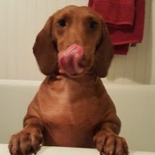 Profile Picture of Paula Joseph (@PaulaJo41820905) on Twitter