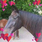 Profile Picture of Petra Klimek (@balunancy) on Instagram