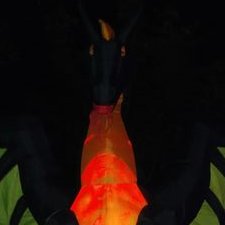 Profile Picture of Nick Hetman (@hetman_nick) on Twitter