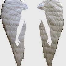 Profile Picture of Bob_castelo (@bob_castelo) on Twitter