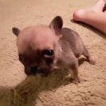 Profile Picture of kyrstin rene duckworth (@kyrstinrene) on Instagram