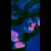Profile Picture of Alexa Parker (@alexa.parker.1232) on Facebook