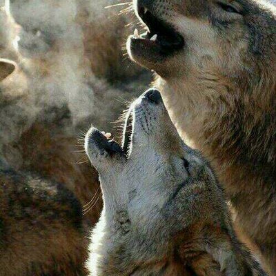 Profile Picture of Tom Vink (@t_ommy47) on Twitter