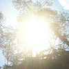 Profile Picture of Nicholas Ong (@nicongggg) on Flickr