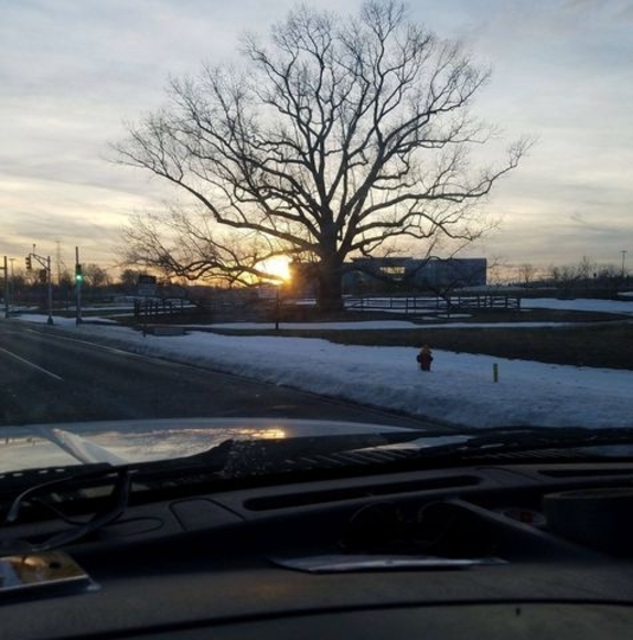 Profile Picture of Jose Arevalo (@jeduardoarevalo) on Poshmark