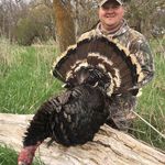 Profile Picture of Justin Borstad (@justinborstad) on Instagram