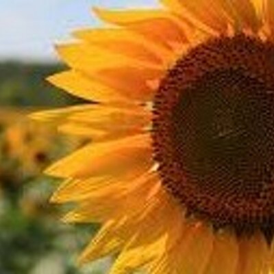 Profile Picture of Joy Dozier (@Dozier5Joy) on Twitter