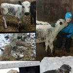 Profile Picture of Alexander burns (@alexander__burns) on Instagram