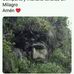 Profile Picture of Eleuterio Jacob (@eleuterio.jacob.14) on Facebook