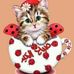 Profile Picture of Sohair Mohamed (@sohair.mohamed.9047) on Facebook