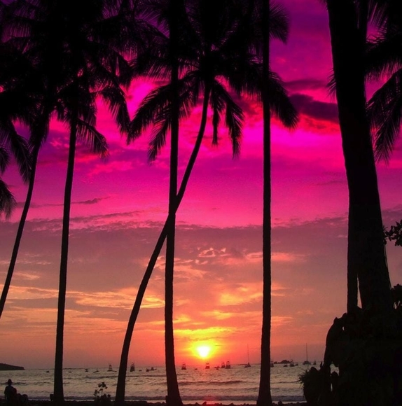 Profile Picture of Alicia Decristoforo (@a_decristoforo) on Poshmark