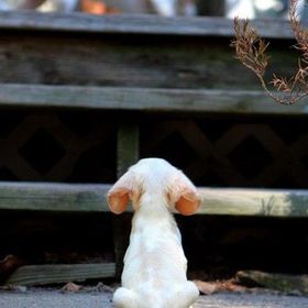 Profile Picture of Michael Gavin (@gavin0822) on Pinterest