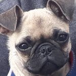 Profile Picture of Thomas zambrano (@xx_.thms._xd) on Instagram