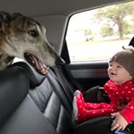 Profile Picture of Nancy Gilliam and Jester 🐶 (@mama_of2girlsandgreyhound) on Instagram