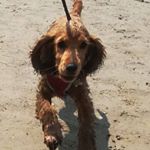 Profile Picture of Mark Burney (@mgbtraining) on Instagram