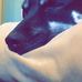 Profile Picture of Jesse Spurling (@jesse.spurling.39) on Facebook