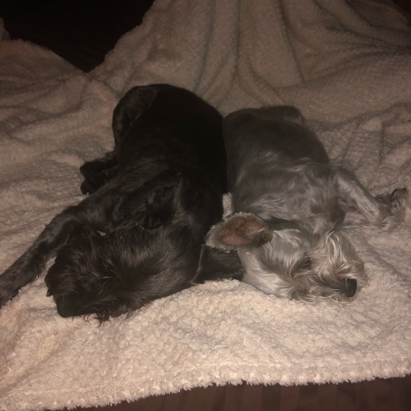 Profile Picture of Scott Sproul (@scottsproul) on Poshmark