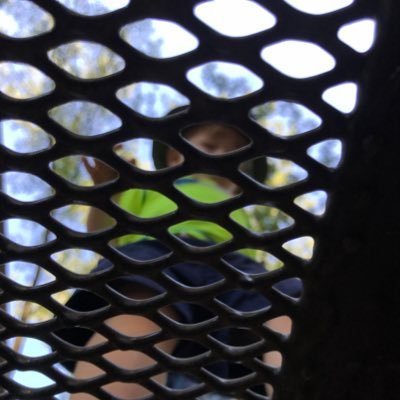 Profile Picture of Hannah Figat Goldstein (@hfignewton) on Twitter