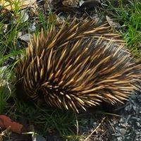 Profile Picture of Stephen Sabine (@stephen-sabine) on Quora