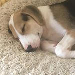 Profile Picture of Gary Spicer (@gwsace) on Instagram