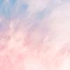 Profile Picture of Joy reichert (@@_reichert_) on Tiktok