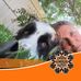 Profile Picture of Kathy Epp (@kathy.epp.790) on Facebook