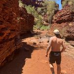 Profile Picture of Robert Bird (@robertbird3) on Instagram