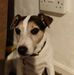 Profile Picture of James Crangle (@James-Crangle) on Facebook