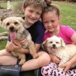 Profile Picture of Stacey Cassidy (@staceycassidy1) on Instagram